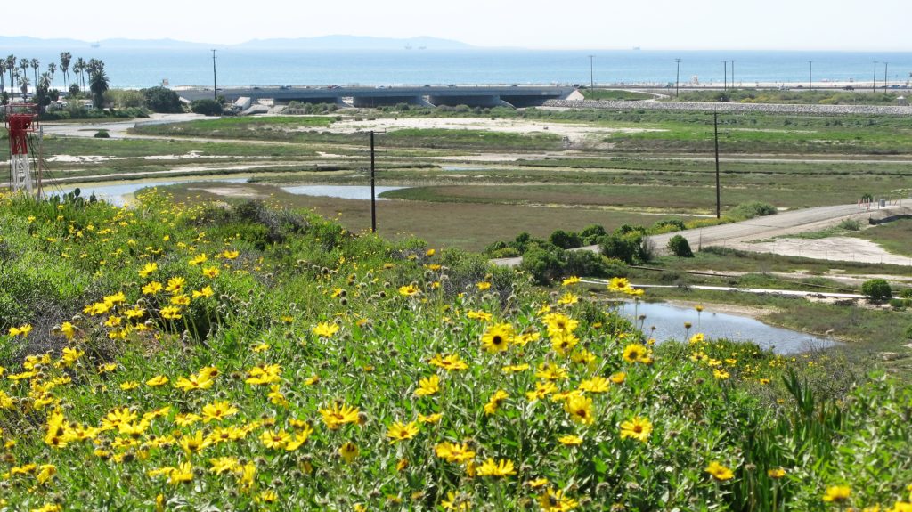 Newport Banning Ranch