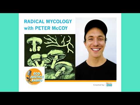 Radical Mycology The Future is Fungi with Peter McCoy Ep 79