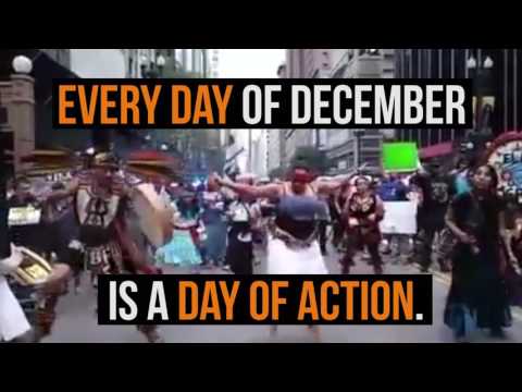 Every Day is a #NoDAPL Day of Action