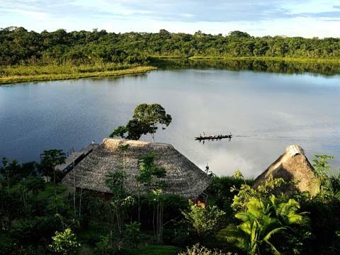 Yasuni national park: &#039;We want to give it as a gift for humanity&#039;
