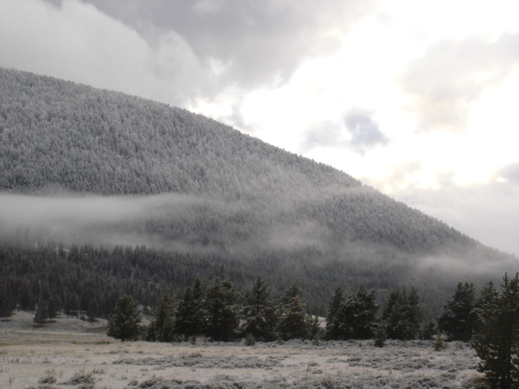 Yellowstone National Park in September.