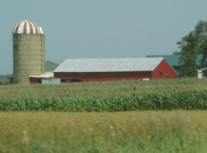 Jack Eidt - A Midwestern Institution farming, Michigan