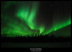 Natalia Robba - Aurora Treeline Northern Lights