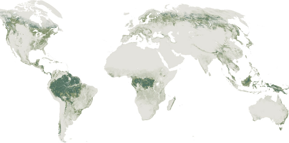 Changing World Forests By Matthew Bloch and Jonathan Corum