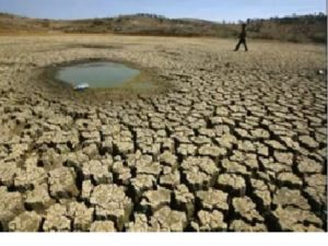 drought, wildfire, economic disruption
