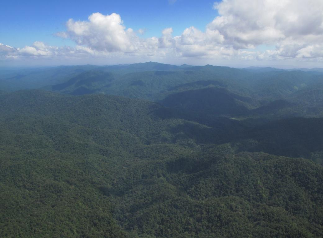 Rio Platano Biosphere
