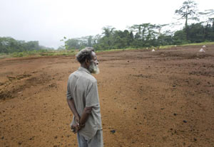 © Greenpeace/Sutton-Hibbert PNG sacred-site-bulldozed From Greenpeace-AU Blog