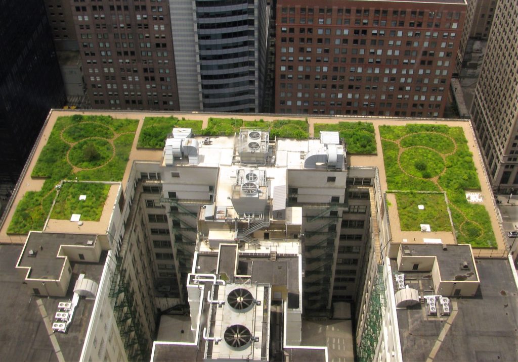Chicago City Hall green roof