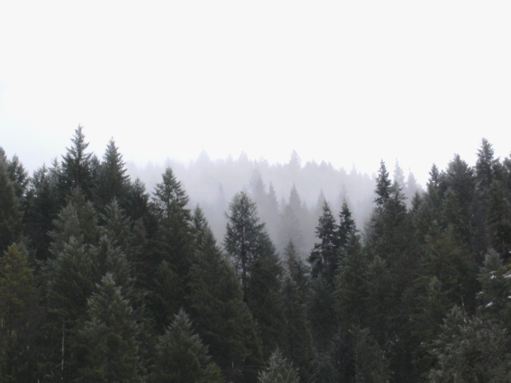 Selway-Bitterroot Wilderness