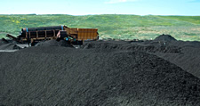 BioCycle - Recology - Jepsen Prairie Organics Jepson Prairie Organics