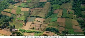 small-scale subsistence based agriculture