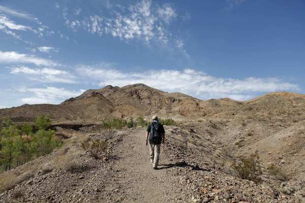 Katie Falkenberg - Bonanza Spring - LA Times near the Cadiz groundwater project, threatened from overdrafts