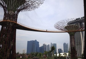 APTOPIX Singapore Supertrees Singapore's Ecological Urbanism
