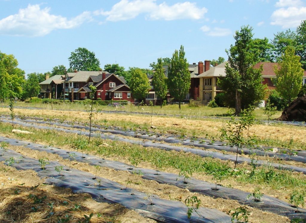 urban farming, Detroit Farm and Cider
