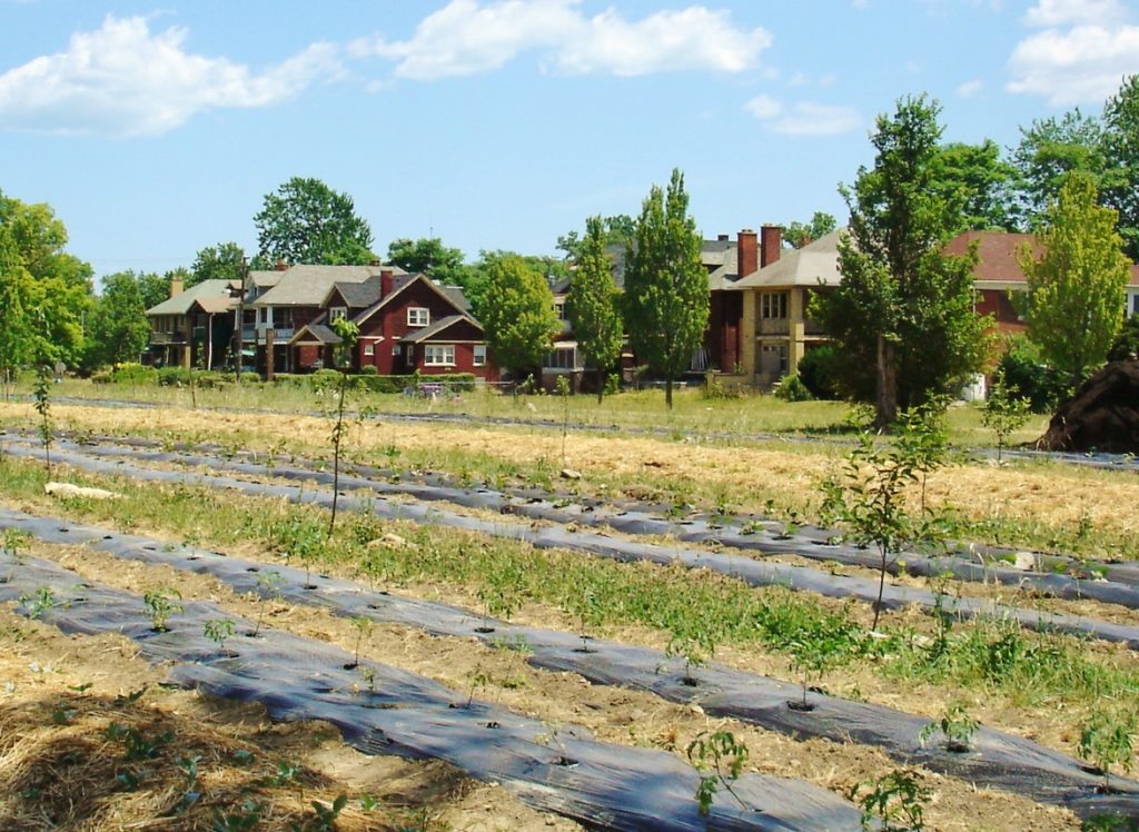 Jack Eidt - Detroit Fields urban farming in Detroit