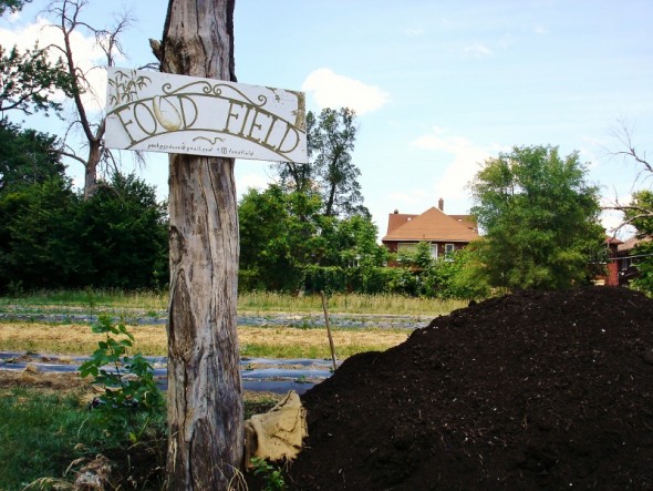 urban agriculture, Food Field, Detroit