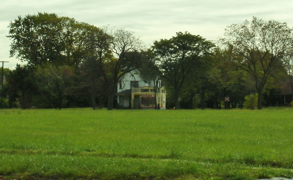 vacant land for Detroit Works