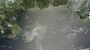 the worst oil spill in history - Louisiana Coast