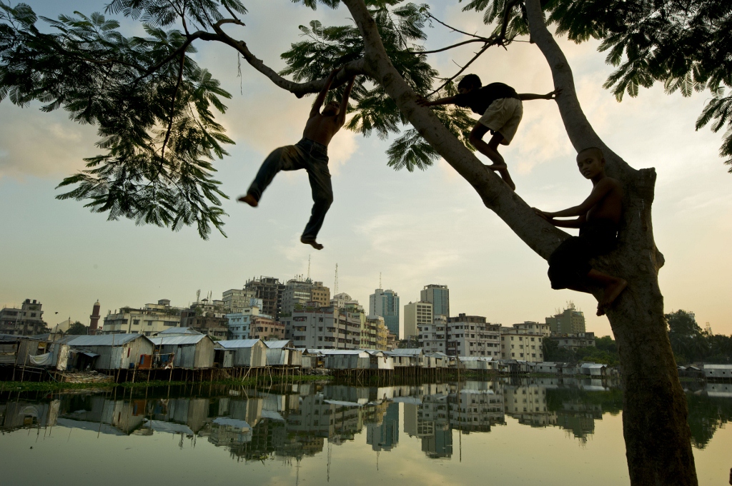 Bangladesh - A Climate Trap- Tree Swinging in Dhaka (1024x681) climate change - urban poverty