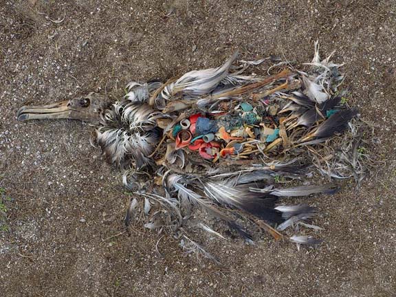 Chris Jordan - The Plastic Tragedy at Midway Midway: Message from the Gyre