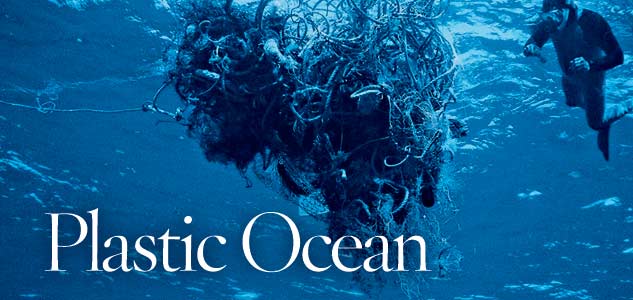 North Pacific Garbage Patch - from the article by Susan Casey