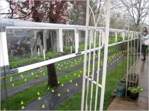 Allison Arieff - Bright Dawn Farm Conceptual Suburbia Open House by Freecell