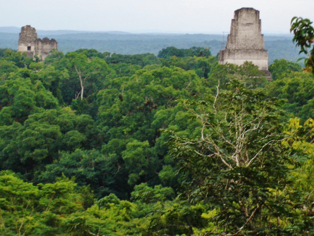 Guatemala Ancient Maya Ruins from Temple IV