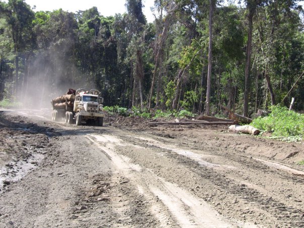 Sunu Widjanarko - Rimbunan Hijau Logging in Ramu River Valley - Ecological Internet Papua New Guinea, Rimbunan Hijau company