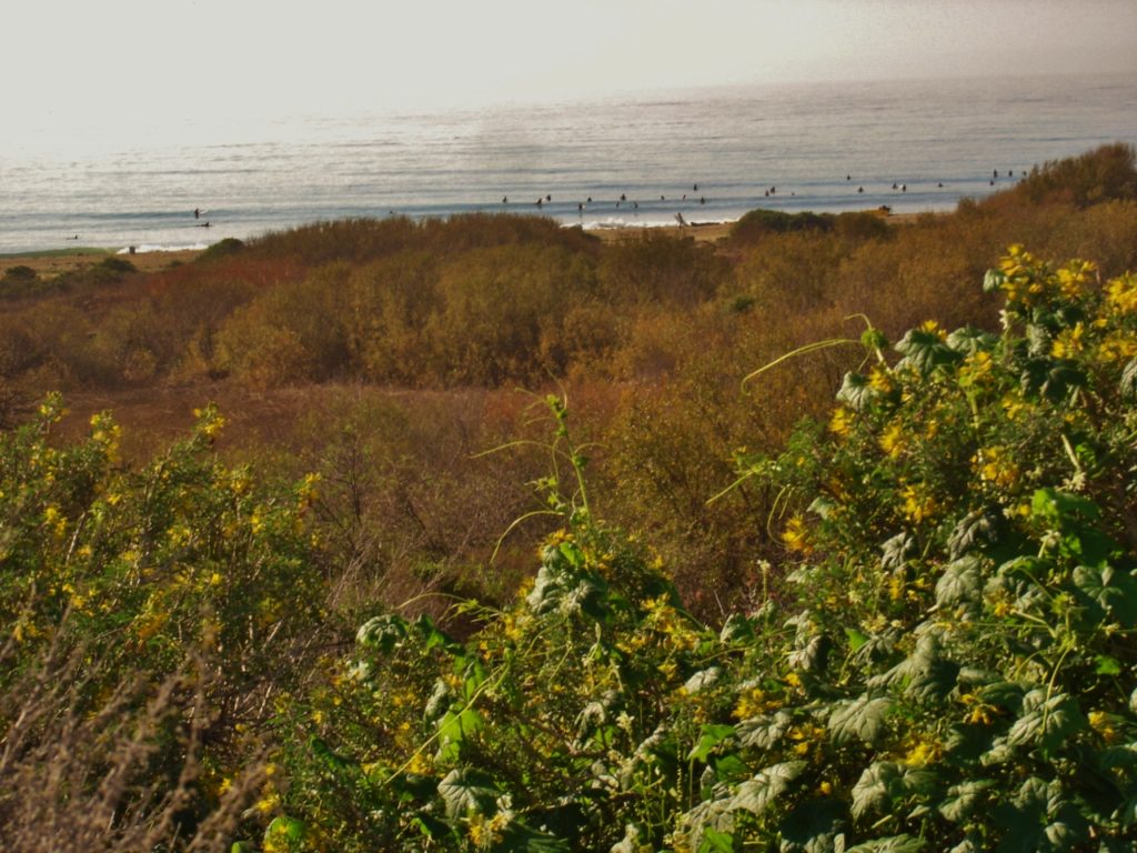 Jack Eidt - Trestles Backcountry San Onofre State Beach Park, California
