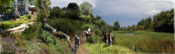 Los Angeles River Revitalization, Council for Watershed Health