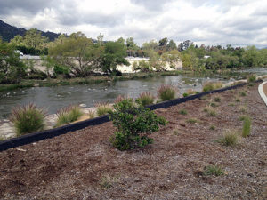 Los Angeles River Revitalization Master Plan