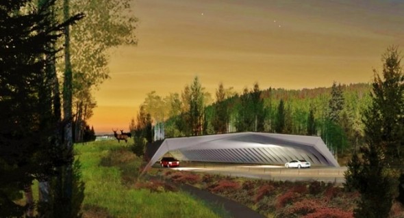 ARC Wildlife Crossing Competition