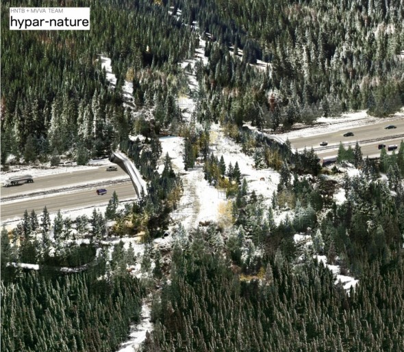 animal bridges,Colorado, ARC Competition