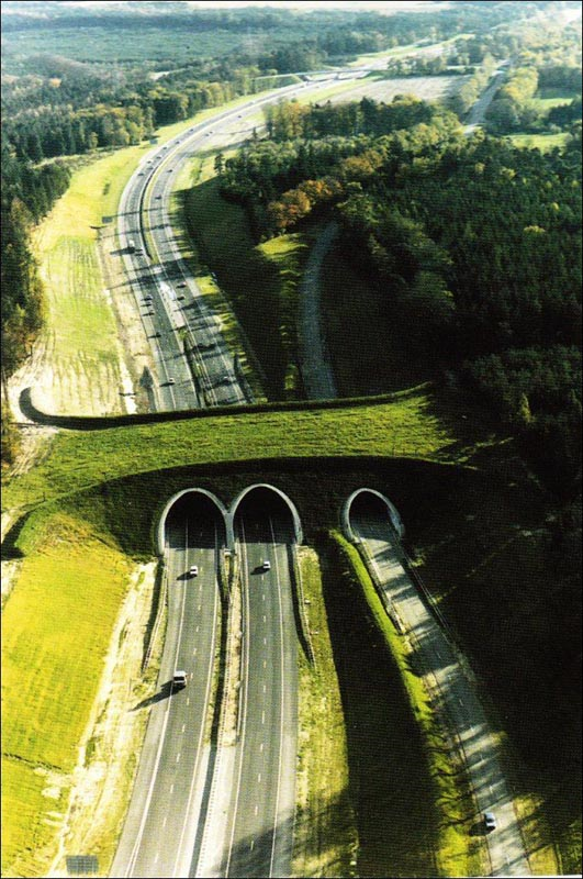 Netherlands, Highway A50