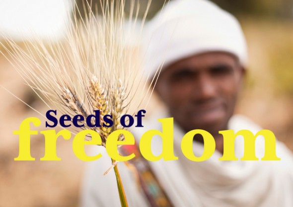monsanto, dr vandana shiva, gmo agriculture