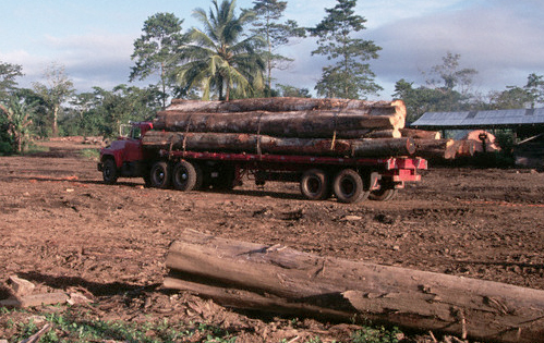 deforestation, illegal, Costa Rica, National Parks