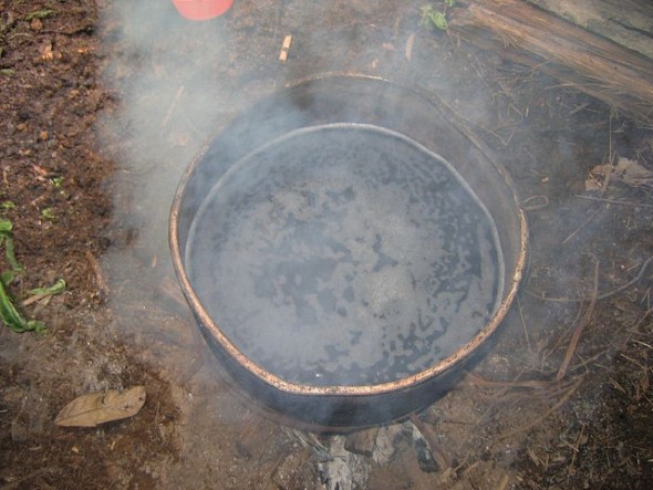 Yage, shamanism, psychedelics