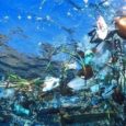 While the Great Pacific Garbage Patch continues to grow, a paper by researchers at the Monterey Bay Aquarium Research Institute shows that trash is accumulating in the deep sea, particularly in Monterey Canyon, off the coast of California. This causes dire impacts to the marine ecosystem and humans who thrive from it. 