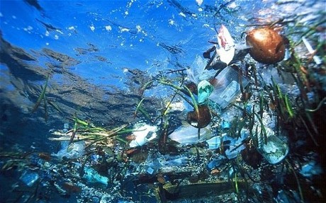 Plastic Ocean Deep Sea Garbage Endangers Marine Ecosystem 