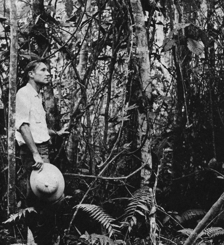 ayahuasca, shamaism, literary