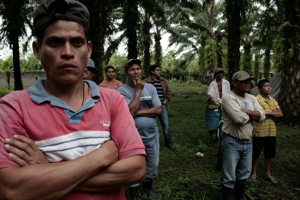 African Palm Oil, Honduras, Dinant Corporation, Bajo Aguan Valley