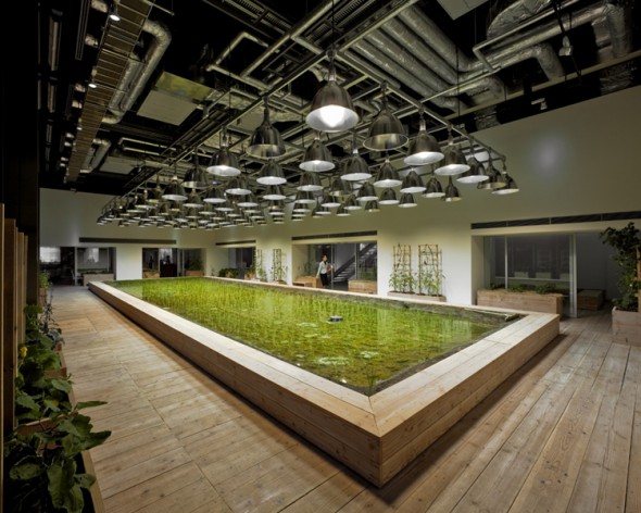 Tokyo, urban farming, sustainability, Japan