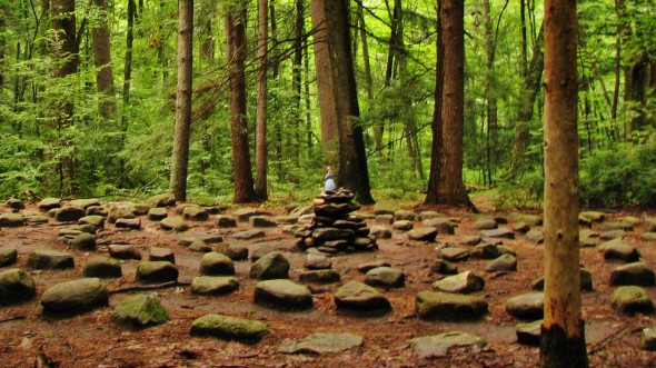 maze, Massachusetts woods, Amherst