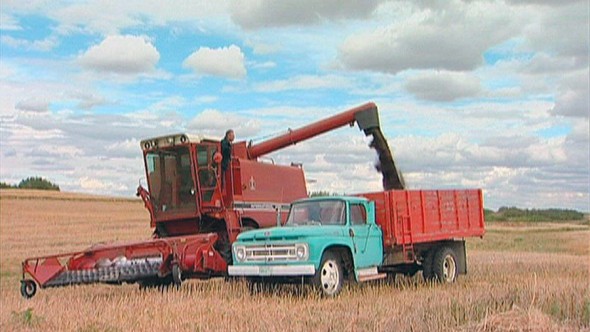 GMO, Monsanto, David Versus Monsanto