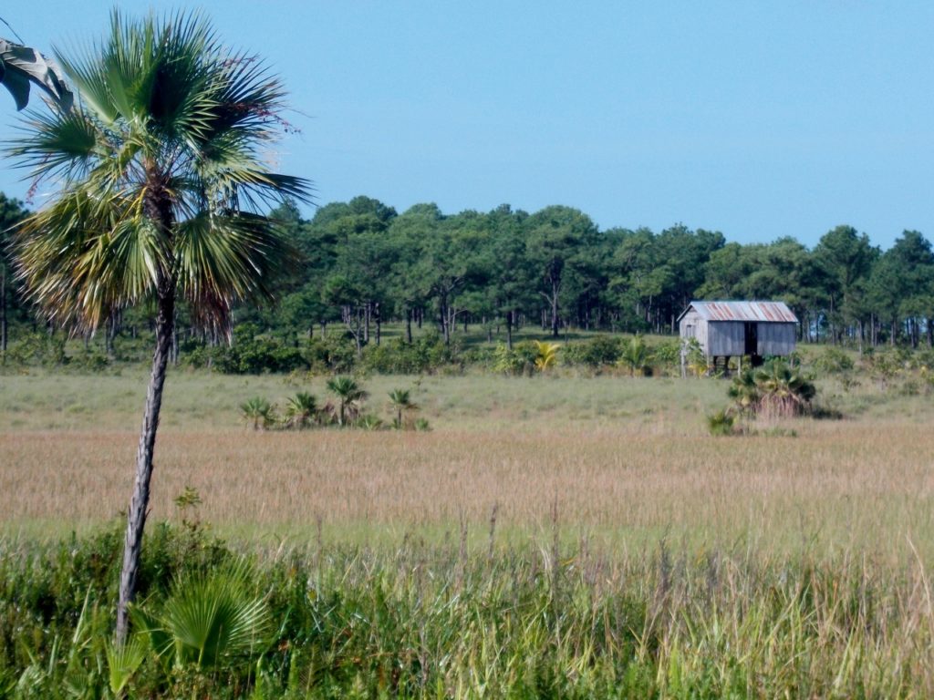 Jack Eidt, La Moskitia, Honduras