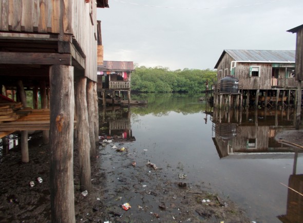 mangrove, La Mosquitia, Honduras, Miskito Indians
