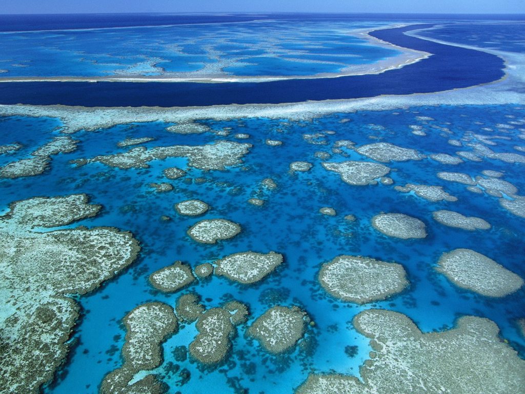 climate change, oceans, reefs