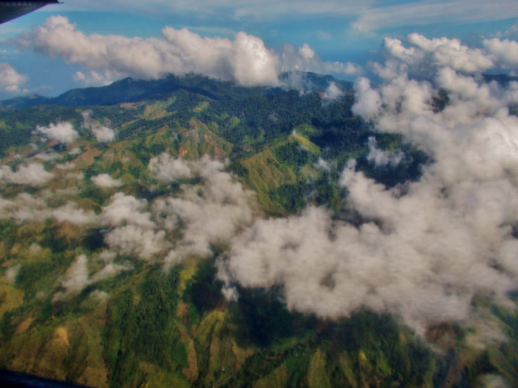 narcotrafficking, deforestation, Honduras