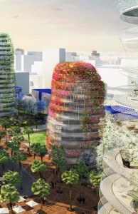 Morocco, architecture, vertical gardens