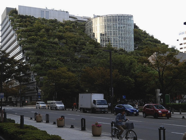 Japanese Green Roofs
